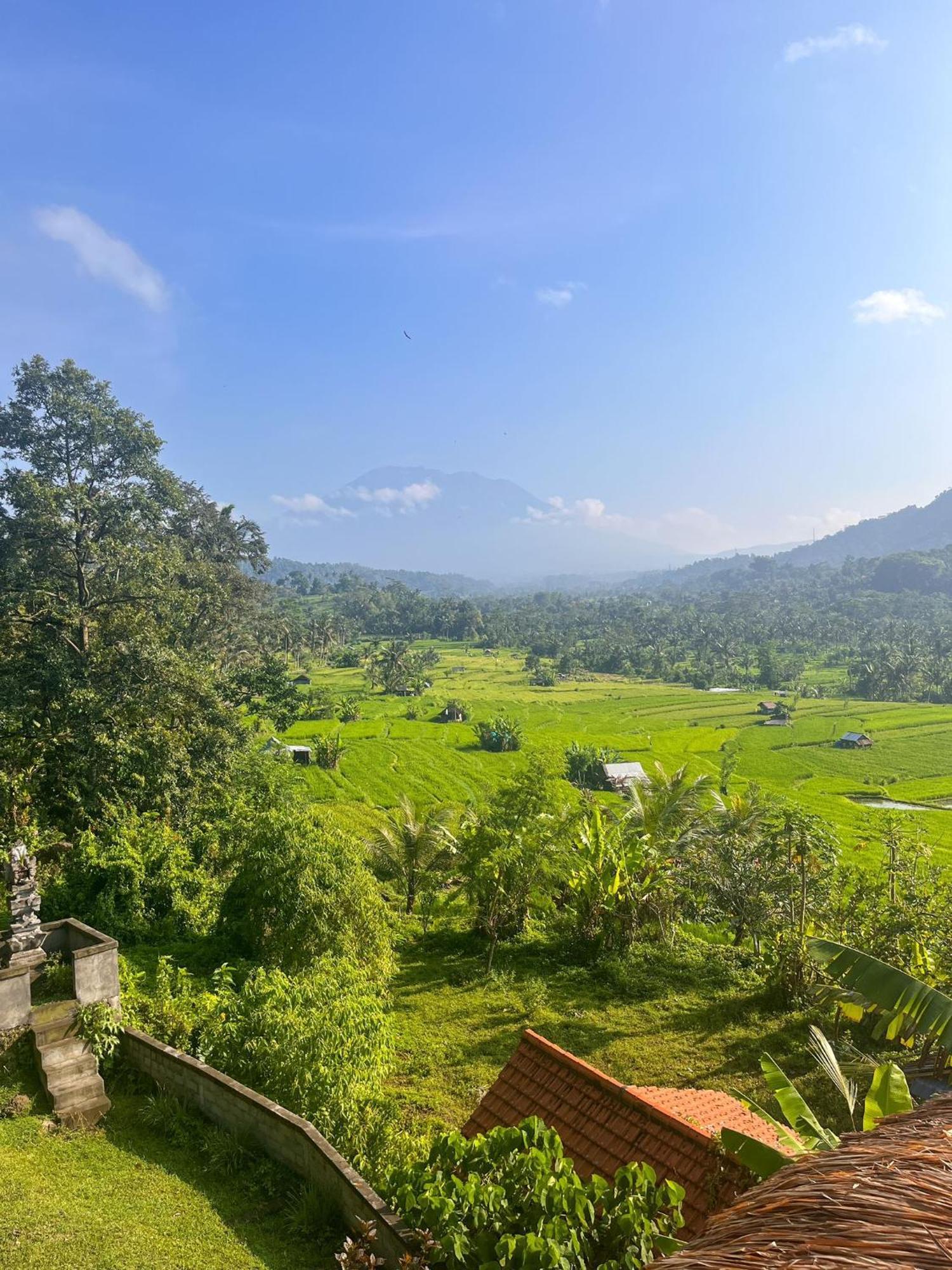 Villa Lumbung Ayu Sari & Spa Karangasem  Ngoại thất bức ảnh